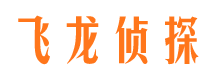 康县侦探